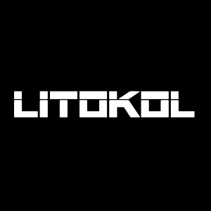 joint epoxy litokol